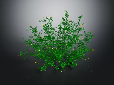 Green Lush Plant With Abundant Green Leaves And Small Yellow Flowers On Dark Background 3d model