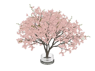 Ornamental Pink Flowering Tree With Lush Pink Blossoms And White Picket Fence Base 3d model
