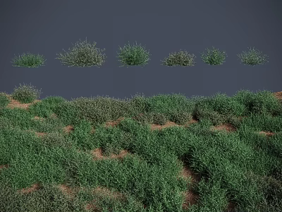 Lush Green Herbs And Bushes Growing Naturally On Ground With Dense Coverage And Different Sizes 3d model