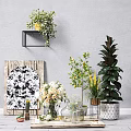 Decorative Vases With Colorful Flowers And Green Plants For Indoor Home Decor