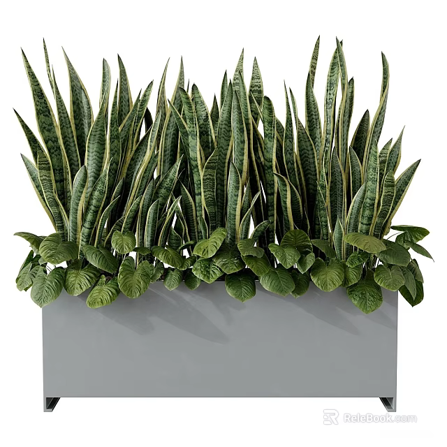 Potted Bonsai Plant With Lush Green Long Leaves And Modern Pot 3d model 