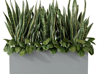 Potted Bonsai Plant With Lush Green Long Leaves And Modern Pot 3d model