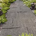 Garden Path Paving With Natural Stone Slabs And Stone Lanterns Surrounded By Green Plants