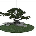 Pine Tree on Green Lawn with Rocks under Blue Sky and White Clouds 3d model
