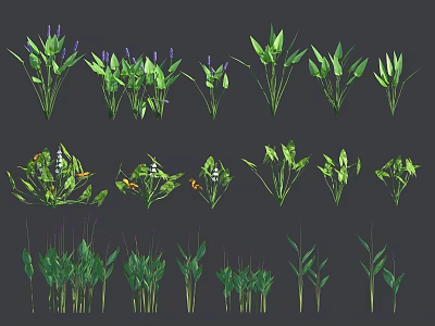 Various Beautiful Garden Plants With Green Leaves Purple Flowers And Fresh Stems 3d model