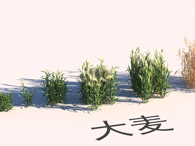 Natural Garden Landscape Design Featuring Barley And Diverse Herbaceous Plants 3d model