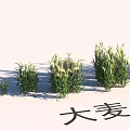 Natural Garden Landscape Design Featuring Barley And Diverse Herbaceous Plants