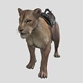 Realistic Detailed Lion Sculpture With Leather Saddle Standing On Black Surface