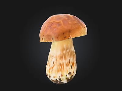Fresh Wild Mushroom With Brown Cap White Stem And Brown Patterns On Black Background 3d model