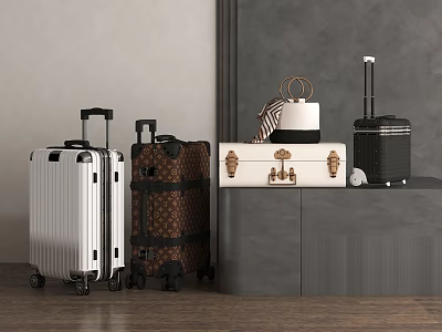 Modern And Vintage Luggage Assortment With Silver Brown White Black Suitcases And Metal Clasps 3d model