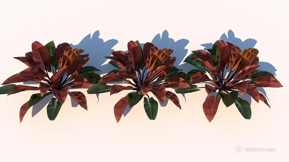 Vibrant Tropical Foliage Plants With Red And Green Leaves Arranged In A Row 3d model 
