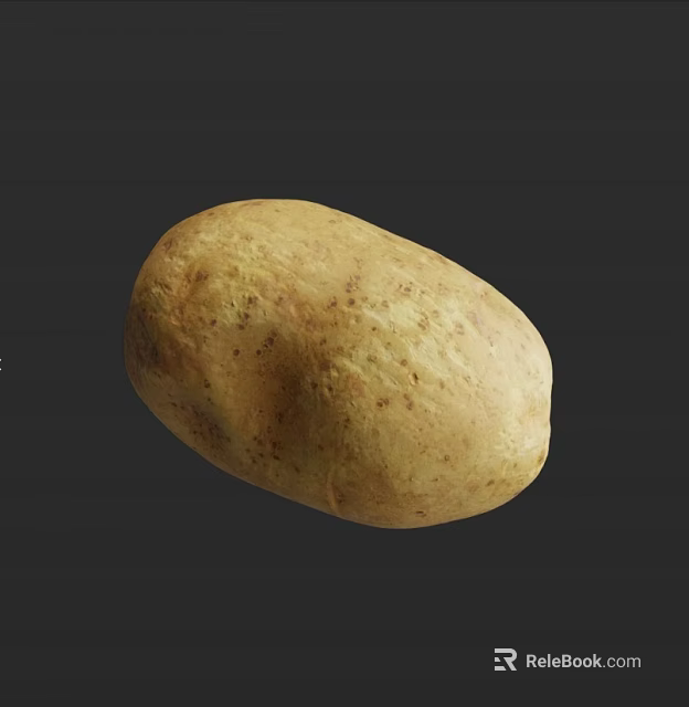 Single Fresh Potato With Brown Spots And Natural Rough Skin Texture Details 3d model 
