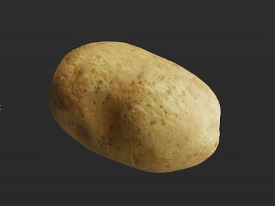 Single Fresh Potato With Brown Spots And Natural Rough Skin Texture Details 3d model