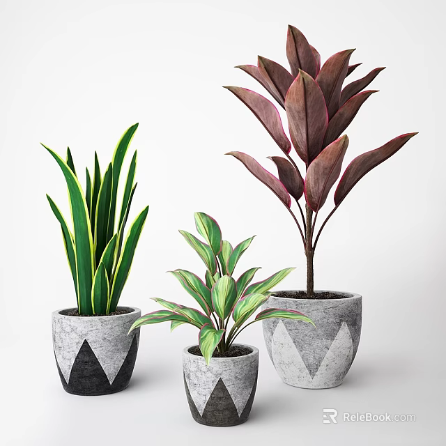 Decorative Ornament Set with Assorted Leafy Plants in Geometric Grey Planters 3d model 