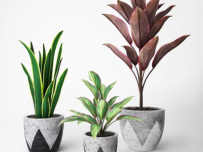 Decorative Ornament Set with Assorted Leafy Plants in Geometric Grey Planters 3d model