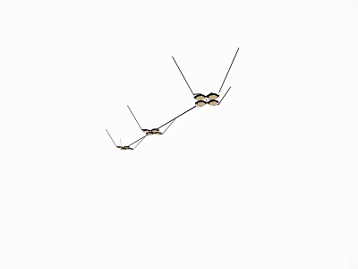 Modern Linear Chandelier With Metal Arms And Multiple Light Fixtures For Home Decor 3d model