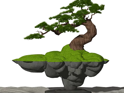 Unique Bonsai Tree With Curved Trunk Lush Green Foliage And Artistic Stone Base 3d model