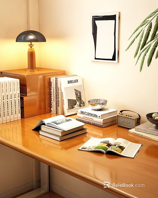 Decorative Ornament Combination With Books Table Lamp Small Bowl Radio And Green Plant On Wooden Tabletop 3d model 