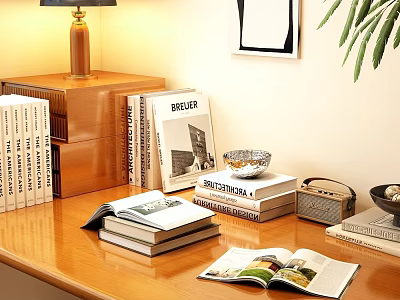 Decorative Ornament Combination With Books Table Lamp Small Bowl Radio And Green Plant On Wooden Tabletop 3d model