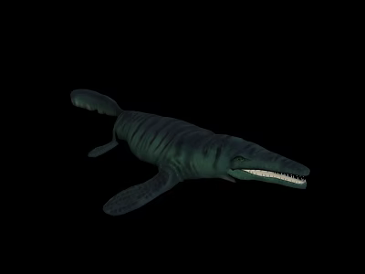 Prehistoric Aquatic Animal With Long Snout Sharp Teeth Striped Body And Flippers 3d model