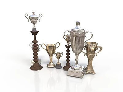 Various Trophy Collection Display With Silver And Gold Metal Designs And Spiral Wooden Bases 3d model