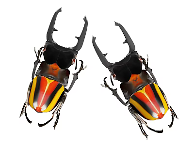 Stag Beetles with Large Black Horns Red Yellow Black Striped Bodies on White Background 3d model