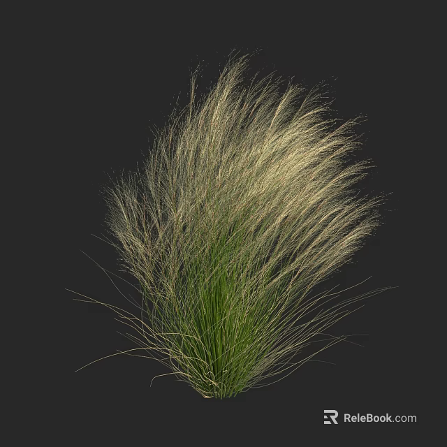Slender Green Grass With Soft Light Colored Blades Against Black Background 3d model