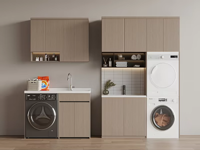 Modern Laundry Area With Built In Washing Machines Cabinets Sink And Decorative Plant 3d model