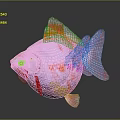 Pearlscale Goldfish with Pink and Orange Round Body Large Eyes Transparent Fins on Dark Background