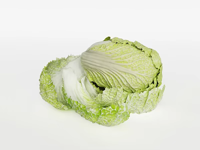 Fresh Green Cabbage with Crisp Leaves and White Inner Layers on White Background 3d model