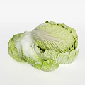 Fresh Green Cabbage with Crisp Leaves and White Inner Layers on White Background