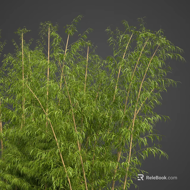Tree House In Lush Bamboo Forest With Natural Greenery And Wooden Structure Design 3d model 