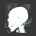 Human Skull 3D Model Side View Showing Cranial Bones Teeth And Cervical Vertebrae