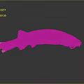Japanese Striped Misgurnus anguillicaudatus Inner Mongolia Loach Cyan Misgurnus anguillicaudatus Large Scale Misgurnus anguillicaudatus Pseudo Autumn Two-Color Middle Misgurnus anguillicaudatus 3d model