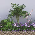 Green Shrubs With Purple Pink Flowers And Green Leaves In Garden Landscape Against Wall