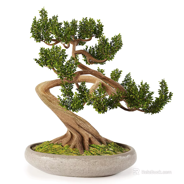 Elegant Bonsai Tree With Curved Trunk Lush Green Foliage And Mossy Pot 3d model 