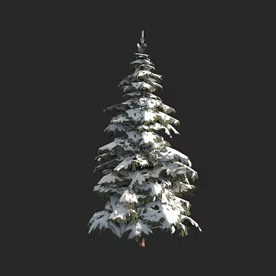 Tall Evergreen Pine Tree With Snow Covered Branches And Lush Foliage 3d model