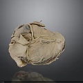 Realistic Anatomical Heart Organ Model With Hair Like Vessels And Textured Surface