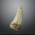 Ivory Shaped Sculpture Carving With Cracked Texture And Light Colored Surface On Dark Background