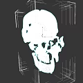 Detailed Human Skull Anatomical Structure Showing Bone Segments And Features 3d model