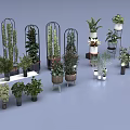 Various Indoor Plants in Stylish Pots and Decorative Stands for Home Decor