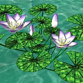 Water Fountain with Purple Lotus Lily Pads and Buds on Light Green Water Surface
