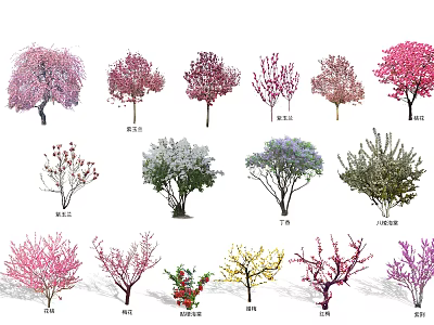 Diverse Arbor Trees With Colorful Blossoms And Various Species For Landscaping 3d model