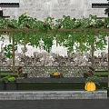 Rural Landscape With Traditional Building Vine Pergola Green Plants And Pumpkin Decoration