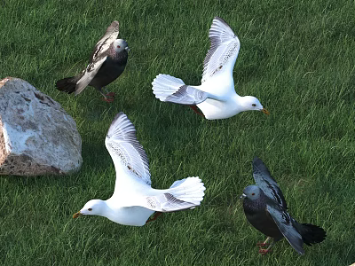 Flying Animals Including Pigeons And Seagulls On Green Grassland Flying And Standing 3d model