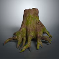 Natural Wood Stone Stump With Green Moss And Extended Tree Roots