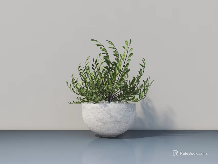 Bonsai Potted Plant With Green Foliage In White Planter On Gray Tabletop 3d model 