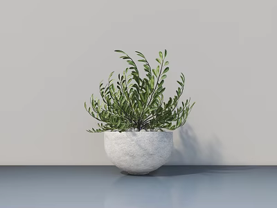 Bonsai Potted Plant With Green Foliage In White Planter On Gray Tabletop 3d model