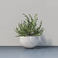Bonsai Potted Plant With Green Foliage In White Planter On Gray Tabletop