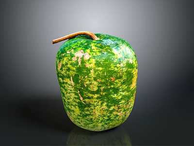 Fresh Green Yellow Spotted Melon with Brown Stem on Black Surface 3d model